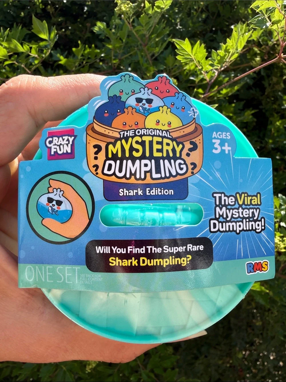 RMS Mystery Dumpling Shark Edition - Teal